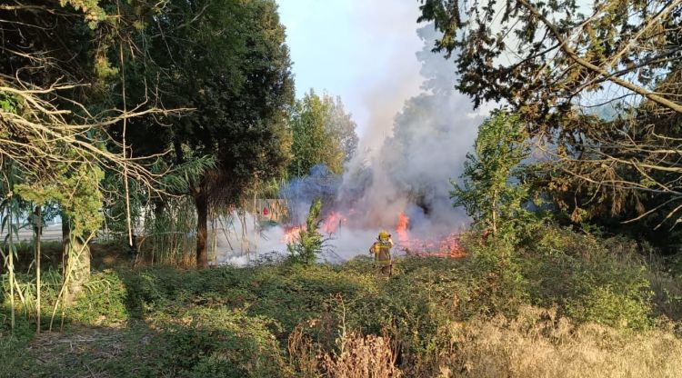 Un dels incendis provocats