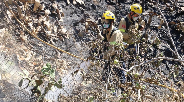 Dos bombers acaben de remulant una zona. ACN