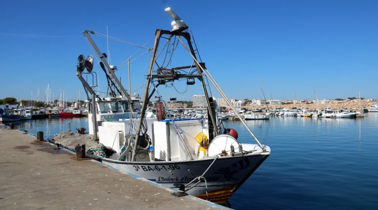 Una embarcació d'encerclament a port a l'Escala. ACN