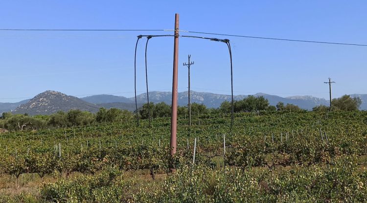 Una de les torres afectades per l'avaria a l'Espolla. ACN