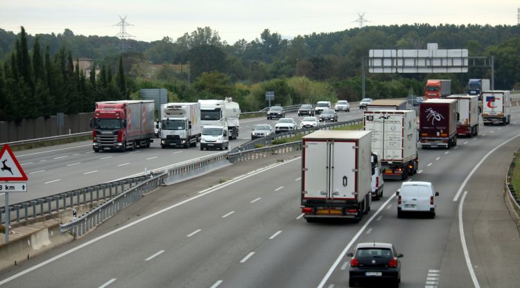 Camions circulant per l'autopista AP-7 a l'altura de la circumval·lació de Girona. ACN