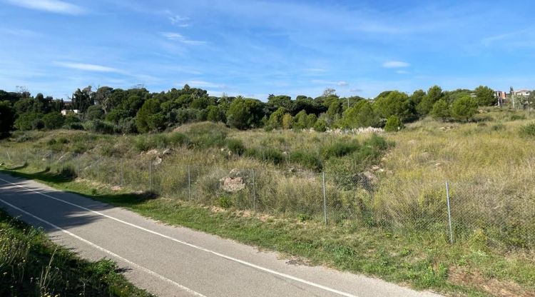 Terrenys on s'ubicarà el futur parc urbà