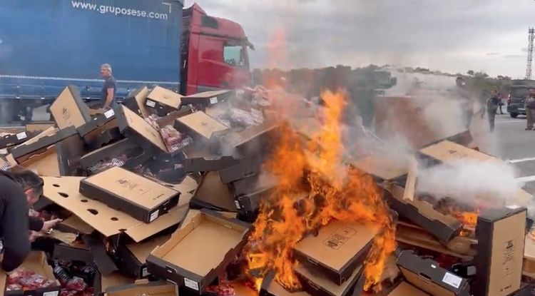 Els viticultors francesos cremant la càrrega d'un camió que duia fruita. FROET