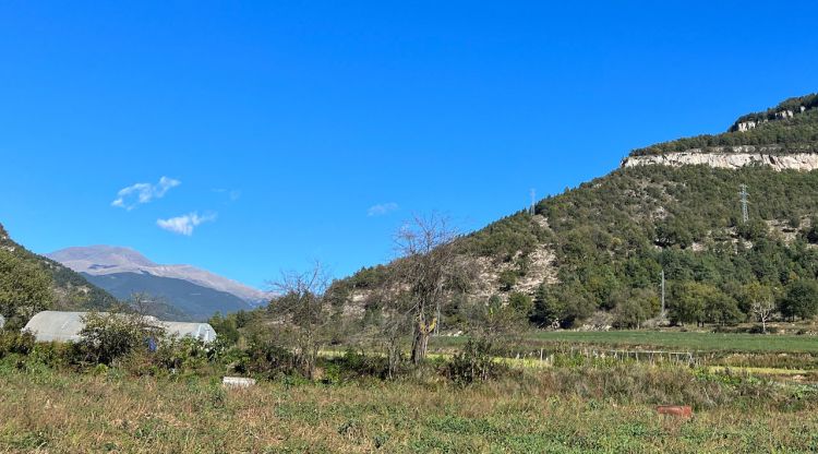 Al fons, la zona on es vol fer la pedrera a Campdevànol. ACN