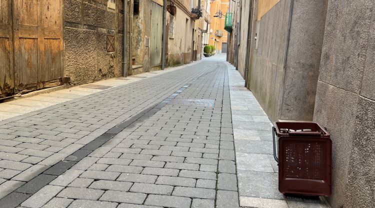 Un cubell del porta a porta a Sant Joan de les Abadesses. ACN