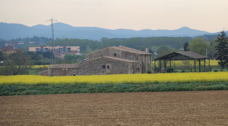 Els camps on es preveu construir la ciutat esportiva del Girona FC a Vilablareix. ACN