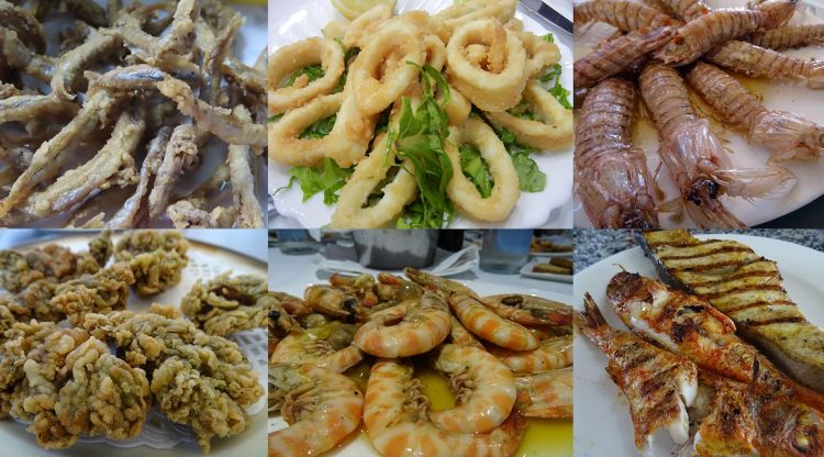 A Catalunya hi ha més de 50 espècies de peixos que es poden cuinar de manera molt fàcil i que són deliciosos. Departament d’Acció Climàtica, Alimentació i Agenda Rural