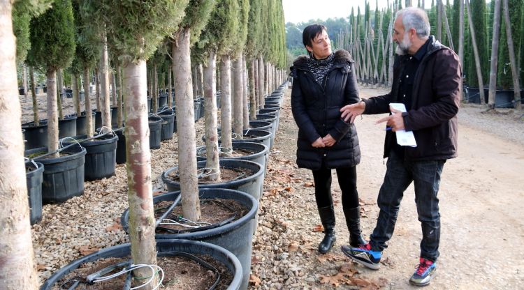 La directora general d’Agricultura i Ramaderia, Elisenda Guillaumes, i el propietari de Vivers Planas de Púbol mirant el sistema de reg. ACN