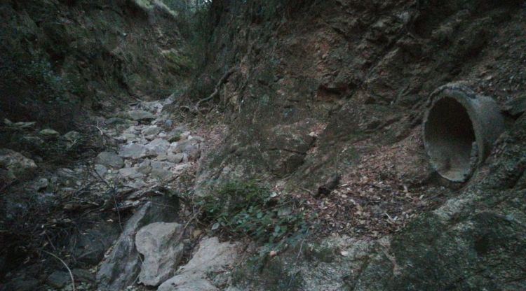 Un dels tubs detectats per IAEDEN que asseguren aboquen purins al curs fluvial