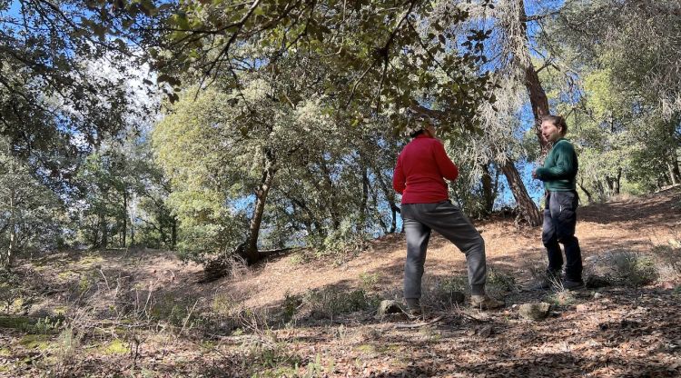 La Clara Blasco, d'Eixarcolant, i la Montse Blanch, propietària forestal, passegen per la finca on es farà l'actuació amb les alzines. ACN