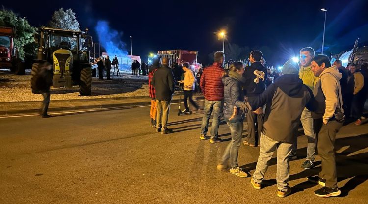 Alguns dels pagesops al mig de la rotonda de Castelló d'Empúries. ACN