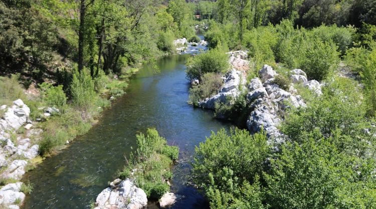 El riu Ter al seu pas per Susqueda. ACN