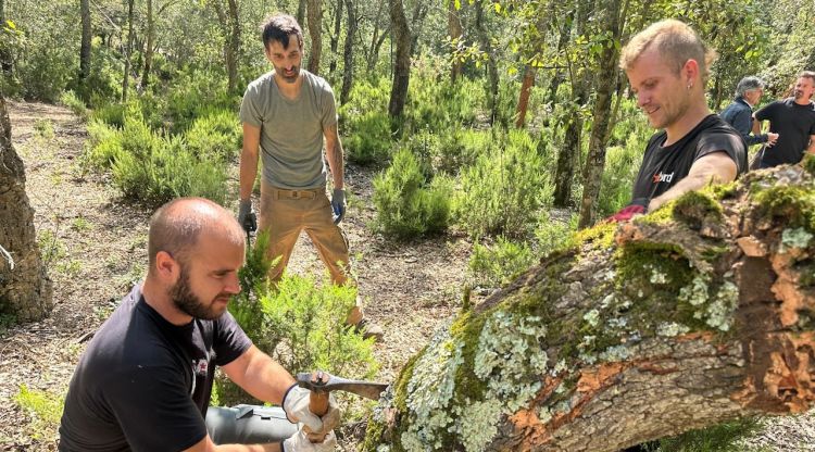 El formador mostrant a dos alumnes com extreure el suro  Data de publicació: dimarts 28 de maig del 2024, 12:16  Localització: Cassà de la Selva  Autor: Gerard Vilà. ACN