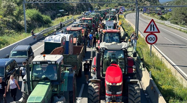Diversos tractors tallant l'AP-7 a la Jonquera, aquest matí. ACN