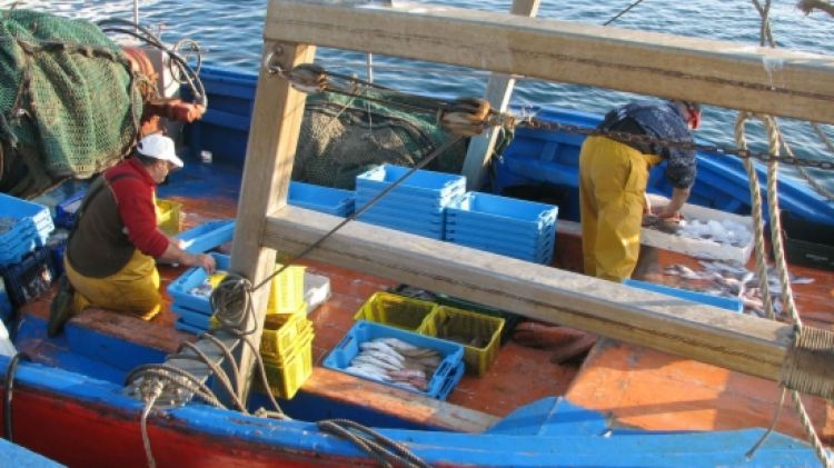 Imatge d'uns pescadors de Palamós feinejant © ACN