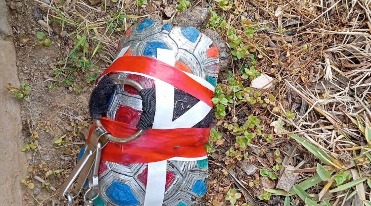 La tortuga maltractada