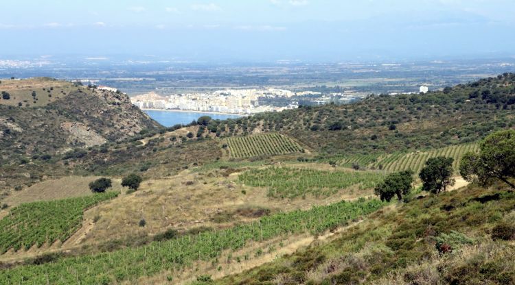 La finca de Mas Marès de Roses que gestiona el celler Espelt en ple parc natural. ACN