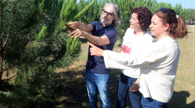 La directora general de Boscos i els responsables de Forestal Catalana, mirant alguns dels pins al bosc de Riells i Viabrea. ACN