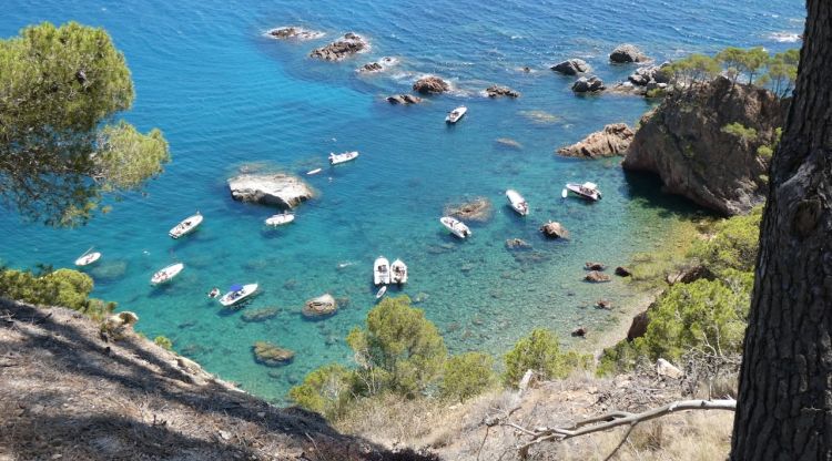 La cala Vedell de Mont-ras