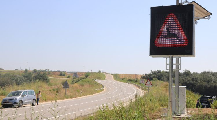 Un senyal de tràntit alertant de la presència d'animals a la carretera al punt de Cabanelles. ACN