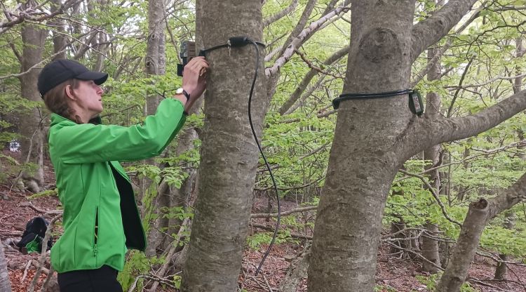 Col·locació dels dispositius per estudiar l'imapcte de visitants als parcs naturals