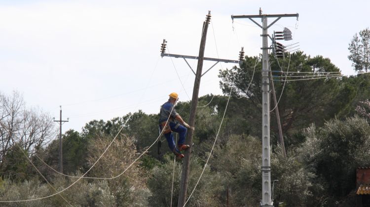 Operaris treballant per substituir torres malmeses a prop de la Bisbal d'Empordà © ACN