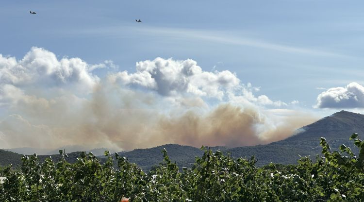 Bombers dels Pirineus Orientals