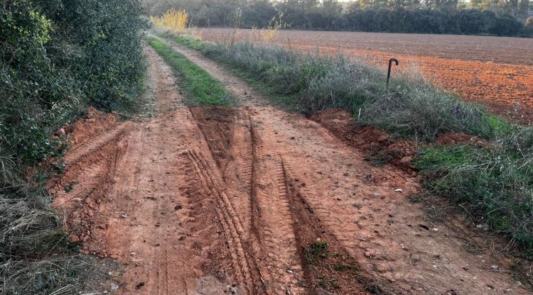 El camí municipal de Ventalló on han fet la cata aquest dilluns