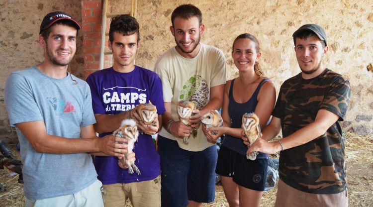 Un grup de voluntaris del Projecte Òliba als Aiguamolls de l'Empordà