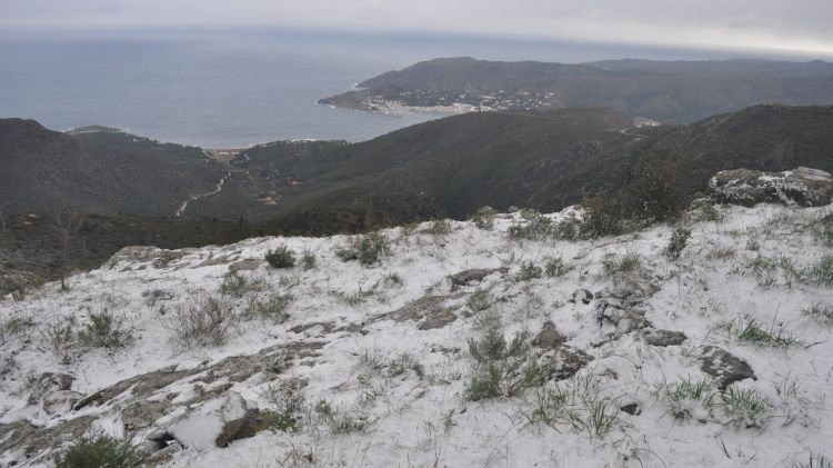 Nevada de la matinada del diumenge passat al Cap de Creus (Alt Empordà)