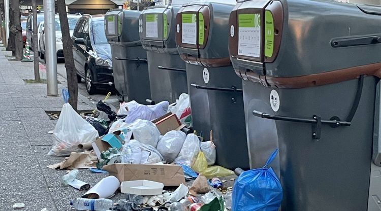 Contenidors intel·ligents plens de brossa el passat 21 de desembre. Àngels Torró