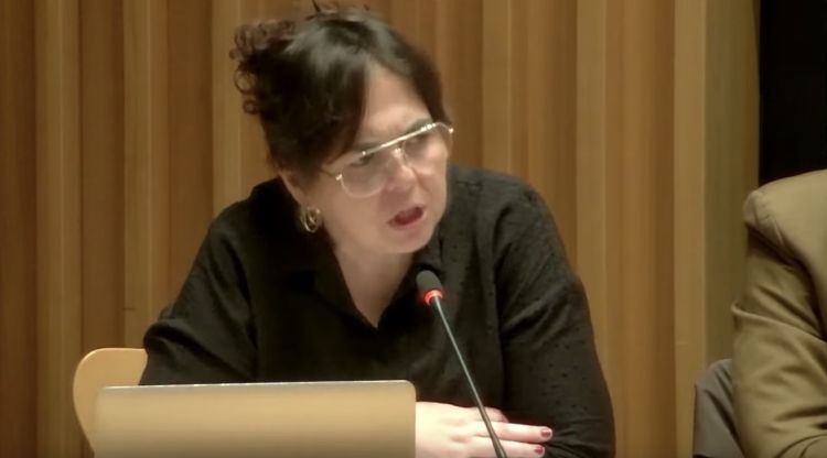 Rosa Aladern durant la seva intervenció ahir al ple