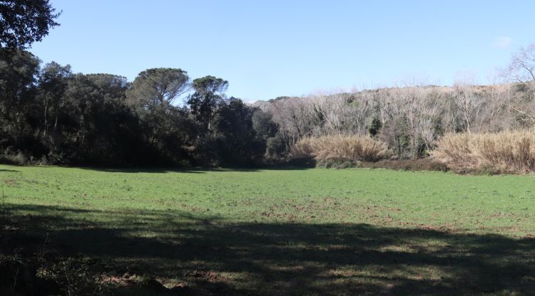 Parcel·la de Lloret de Mar on es projecta un heliport. ACN