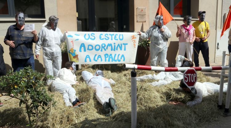 Les entitats ecologistes han fet una acció reivindicativa aquest matí. ACN