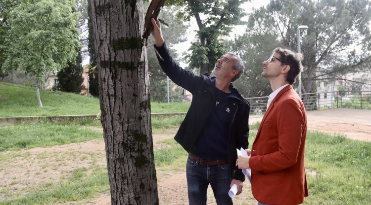 El cap de Paisatge i Biodiversitat, Marc Rosdevall, mostra al tinent d’alcaldia i regidor Sergi Font un arbre malalt. ACN