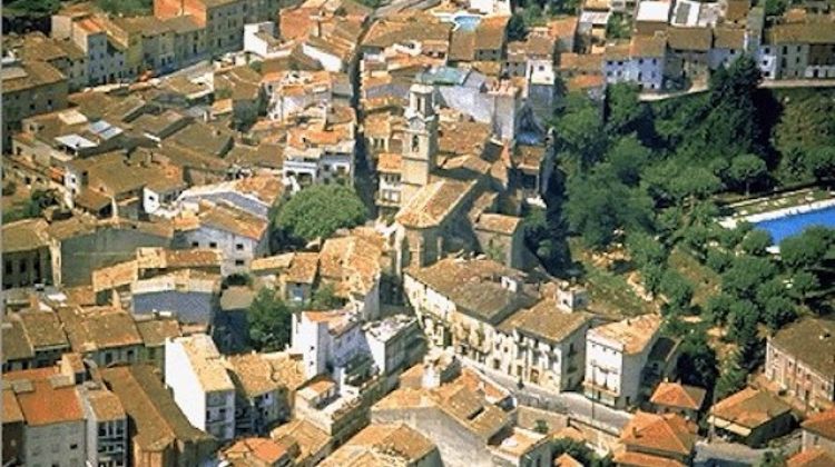 Vista aèria del municipi d'Arbúcies © AG