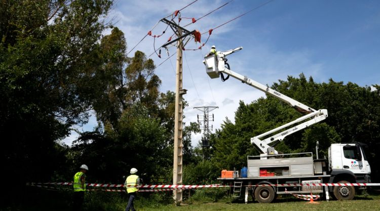 Operaris d'Endesa adaptant les torres a l'Alt Empordà per evitar eloctrucions de l'ibis ermità. ACN