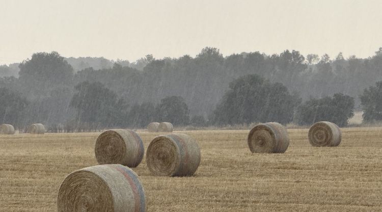 La tempesta en un camp de conreu de Navata, aquesta tarda. M. Estarriola