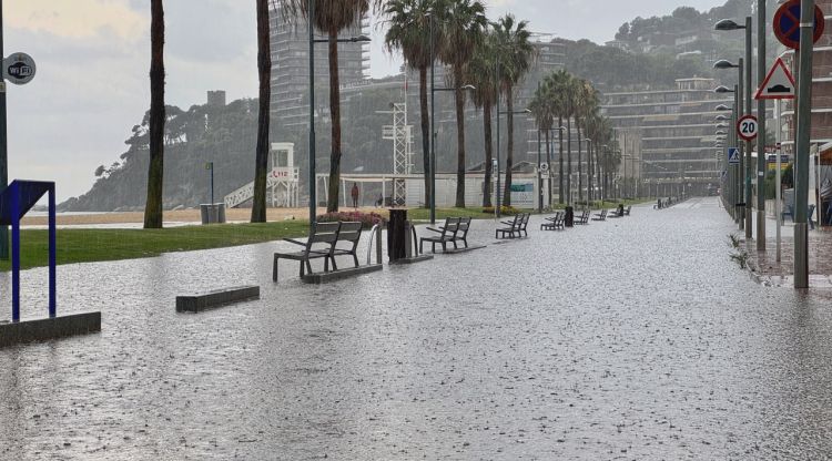 Meteo Palamós