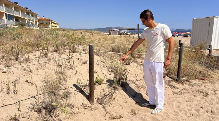 El vicepresident de SOS Costa Brava, Pau Bosch assanyalant un exemplar de l'espècie en perill Stachys maritima. ACN