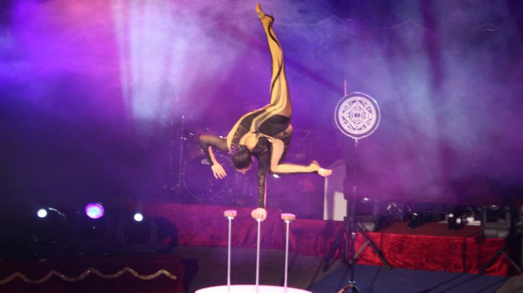 La contorsionista Sasha durant la seva actuació © ACN