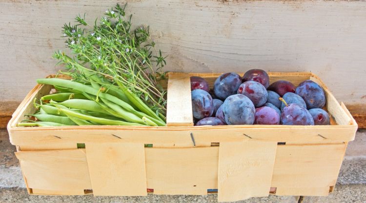 Fruites i hortalisses són aliments molt importants en una alimentació saludable. Pixabay