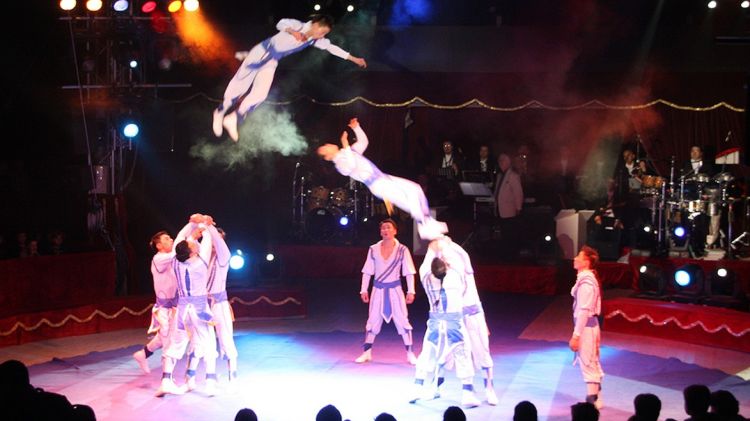 Un moment de l'actuació dels artistes de la Troupe Zola de Mongòlia © ACN