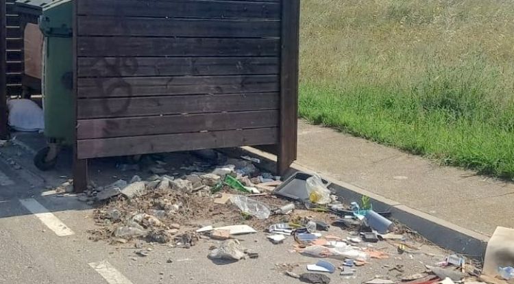Entorn d'un contenidor en un dels accessos de l'Escala (arxiu)