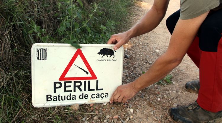 Un caçador col·loca un cartell indicant que hi ha una batuda de caça, a Cassà de la Selva. ACN
