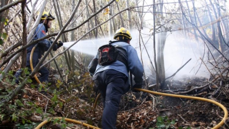 Bombers treballant en l'incendi d'Osor © ACN