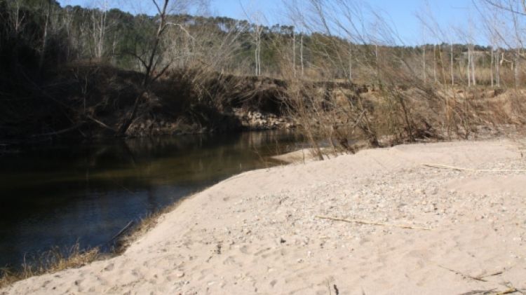 El Ter al seu pas per l'Illa d'Avall de Jafre. En aquest punt el riu fa l'últim meandre abans de la desembocadura © ACN