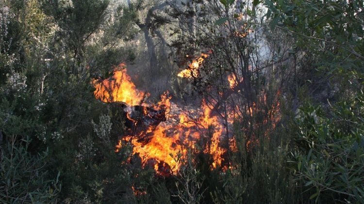 L'incendi s'ha iniciat aquesta tarda i segueix sense control © ACN