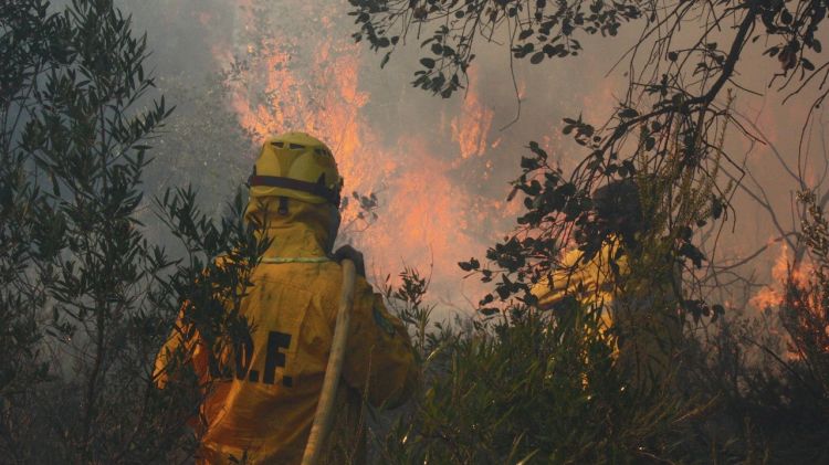 Moment en que els Bombers treballaven ahir en l'incendi © ACN