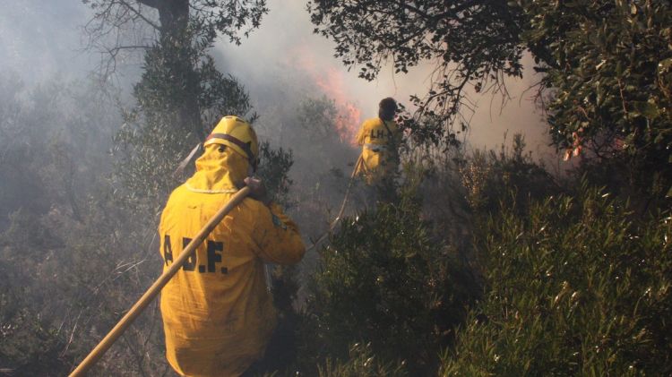 El foc de Santa Cristina d'Aro ja ha cremat més de 500 hectàrees © ACN